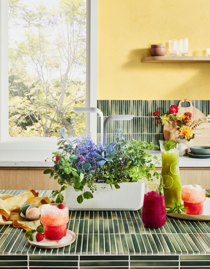 3 Cocktails pictured next to the Veritable Smart Hydro Indoor Garden.