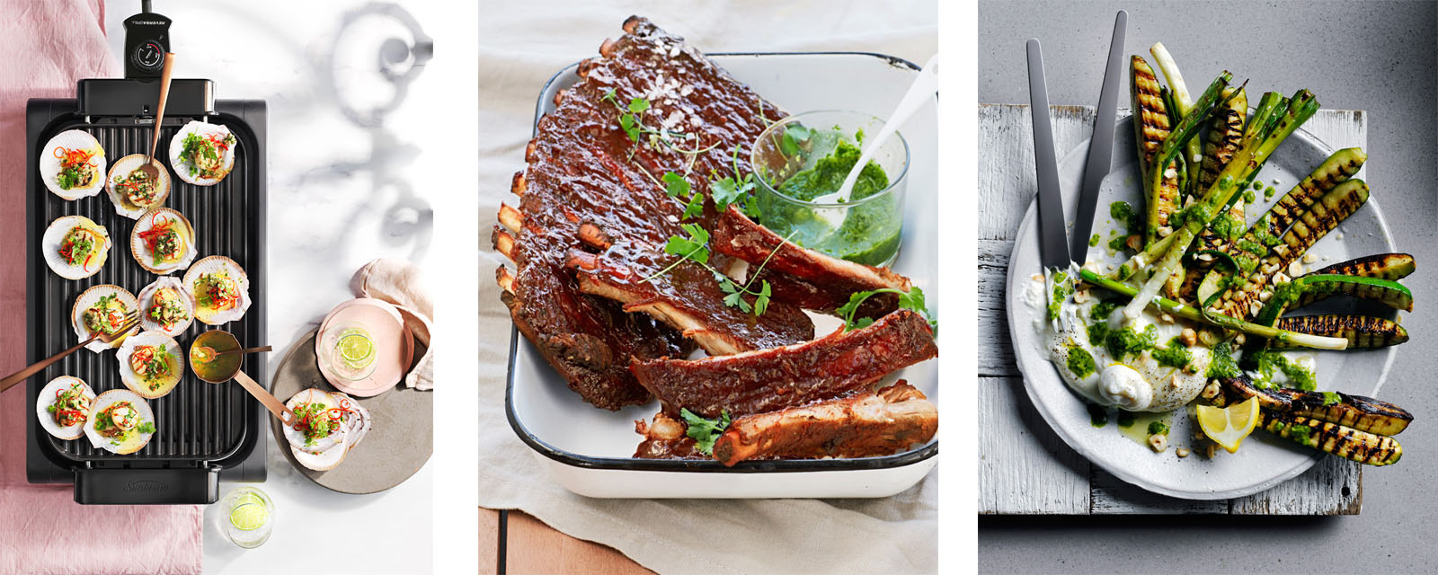 BBQ With The Best 4 Cooking Methods Tips Lots of BBQ Recipes