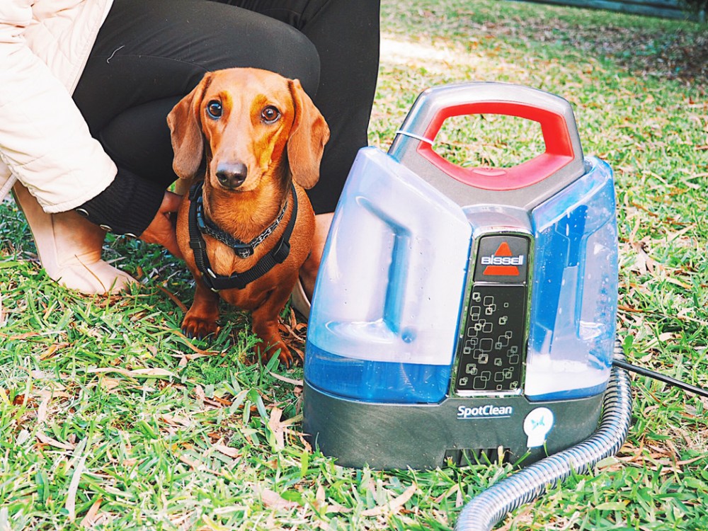 Bissell barkbath dog grooming tool for portable carpet cleaners on sale