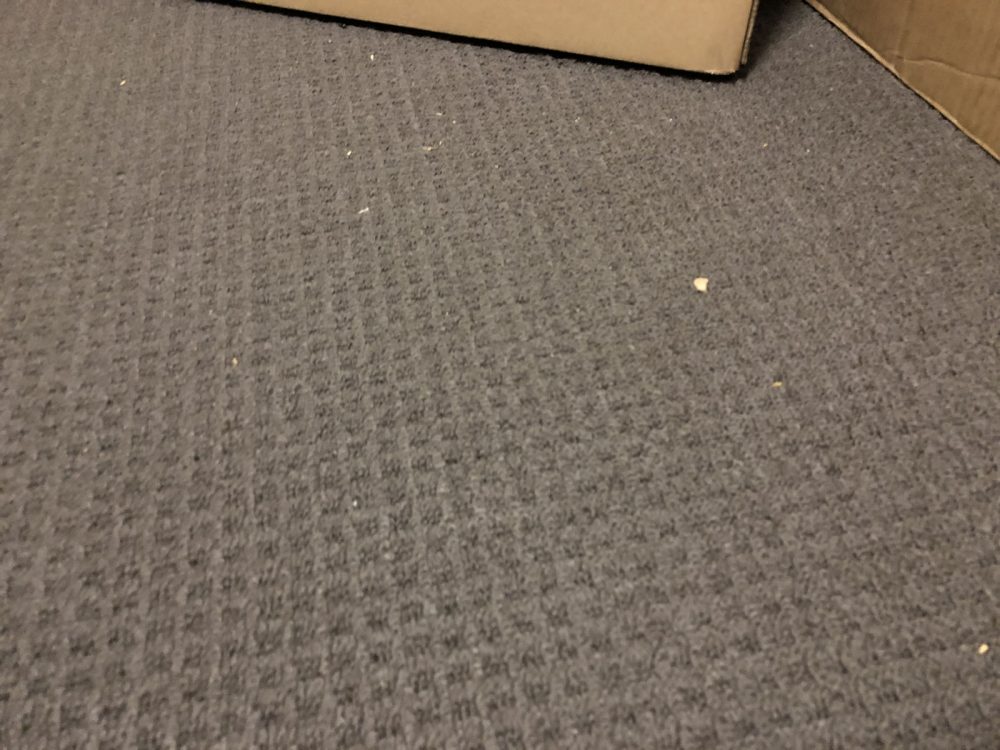 Dirty carpet before cleaning it with the LG CordZero A9 Ultimate Vacuum.