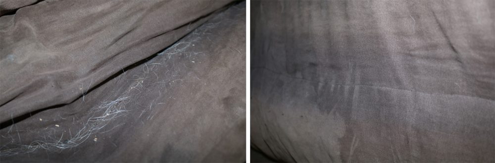 Before & after using the Dyson V11 Mini Motorised Tool on pet dander.