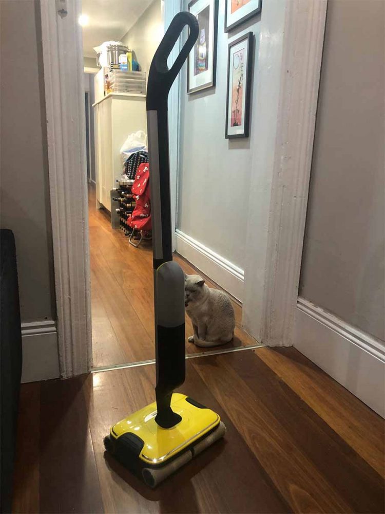 Karcher FC7 Cordless Hard Floor Cleaner Tested on Wooden Floors