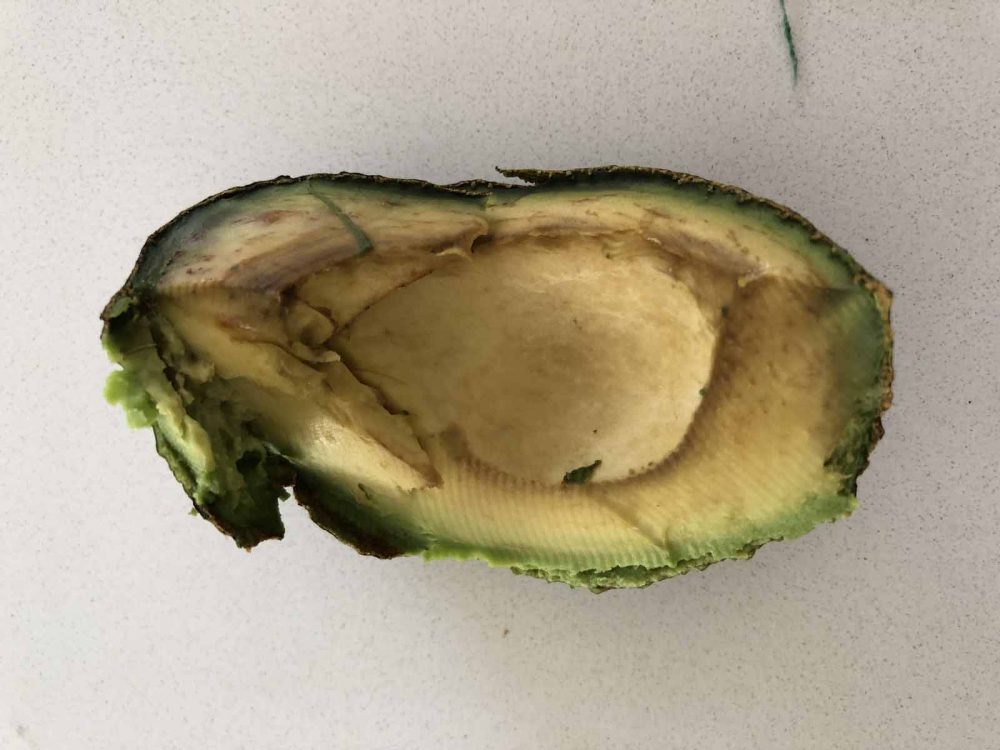 An avocado left in a fridge crisper for a couple of days has started going brown.