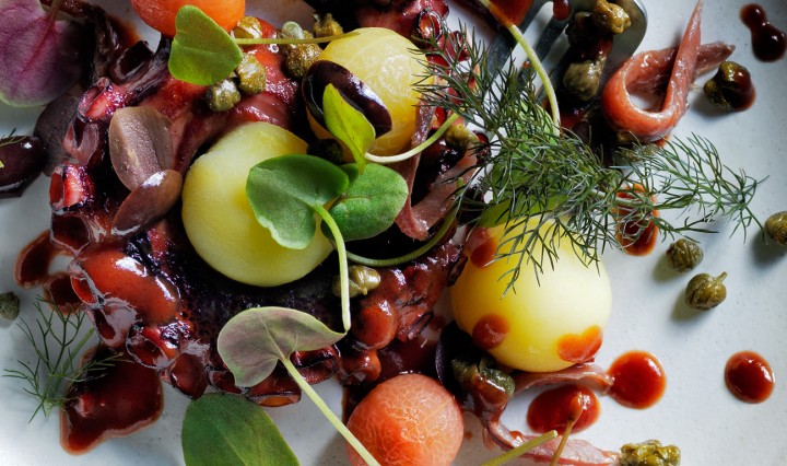 Octopus-recipe