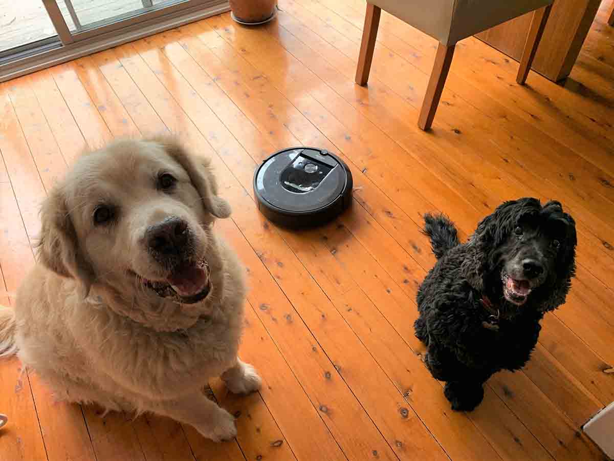 iRobot Vacuum & iRobot Mop Cleaning Dream Team Harvey Norman