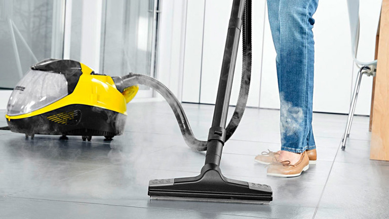Steam Cleaners