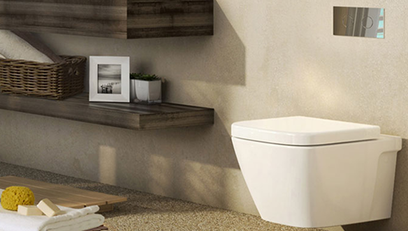 Toilet Buying Guide