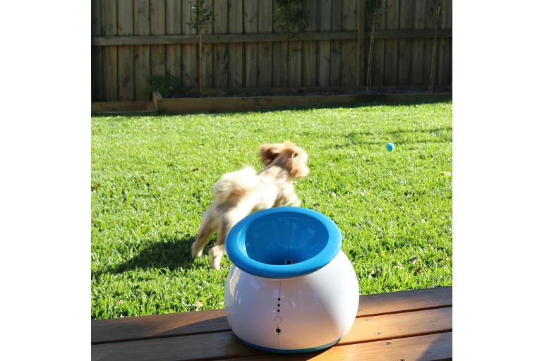 iFetch Original Auto Ball Launcher Harvey Norman