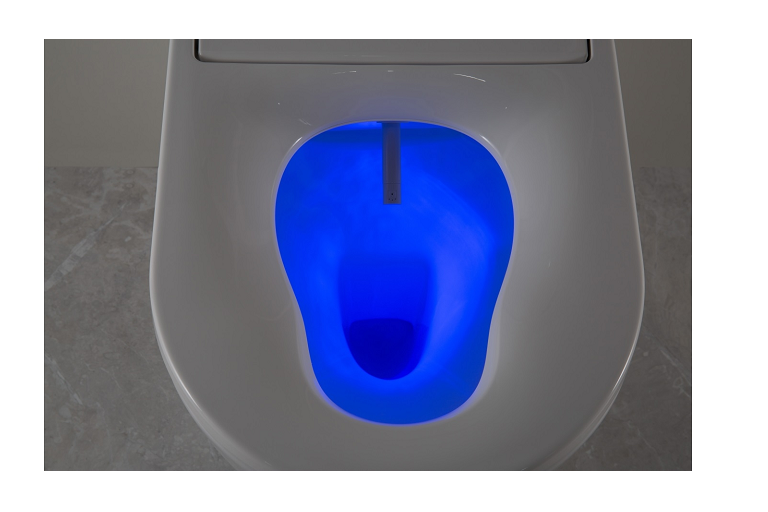 Argent Evo Wall Hung ViSmart Toilet System with Villeroy & Boch Inwall