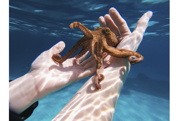  Rugged and Waterproof 