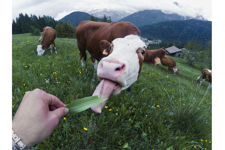  Unbelievable ImageQuality 