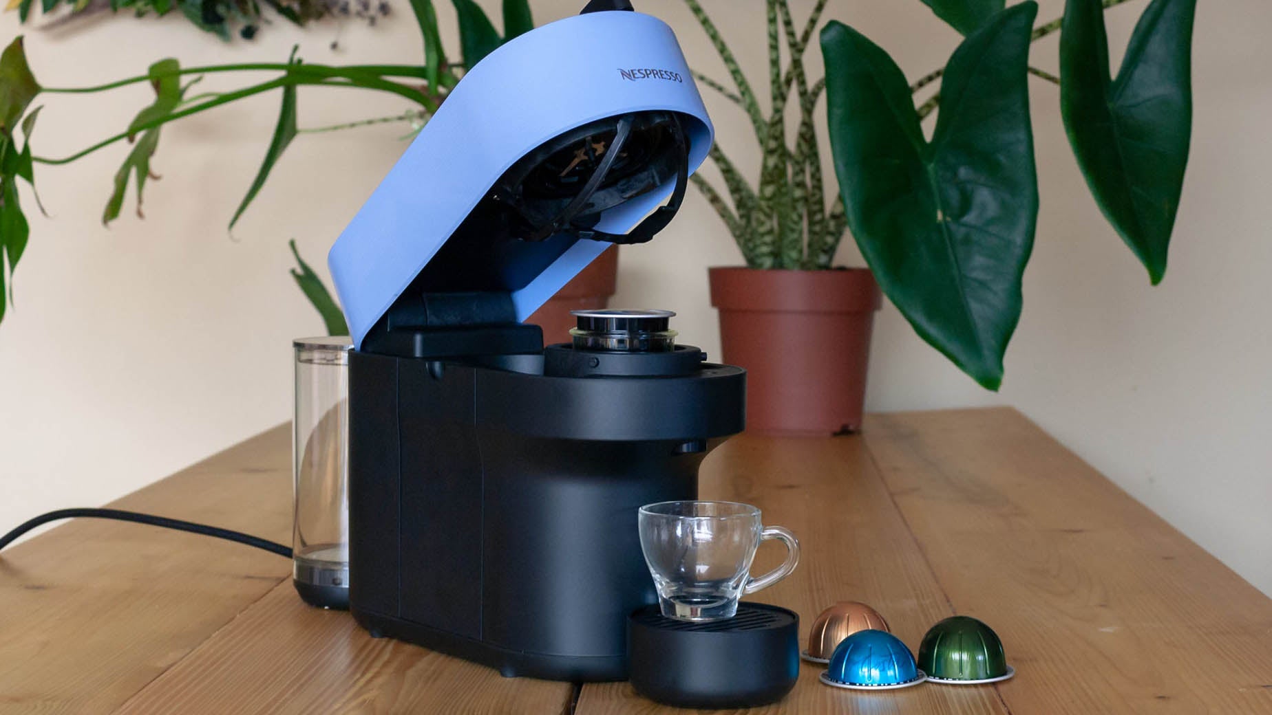 maimai83 Nespresso6本+50個 COTTON CANVAS LOW-TOP SNEAKERS(25 Black): Y's for men｜THE