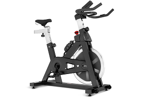 Lifespan Fitness SM-410 Magnetic Spin Bike | Harvey Norman