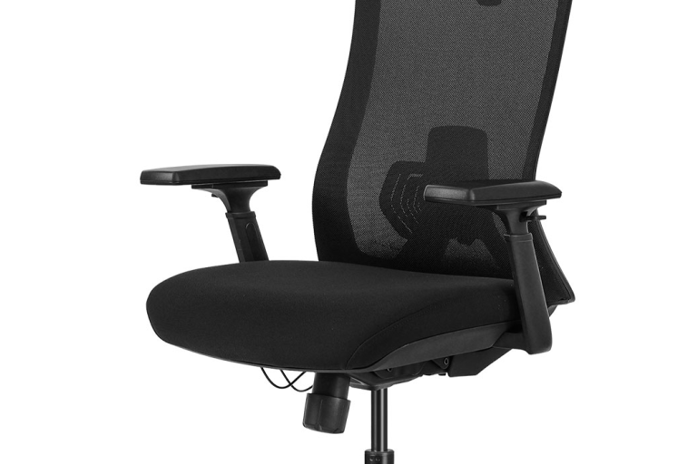 Lifespan Fitness DM9 Ergonomic Mesh High Back Office Chair Harvey Norman
