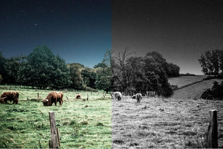  4K UHD and 360° Views 